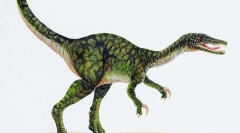 Rychlost pohyblivých dinosaurů